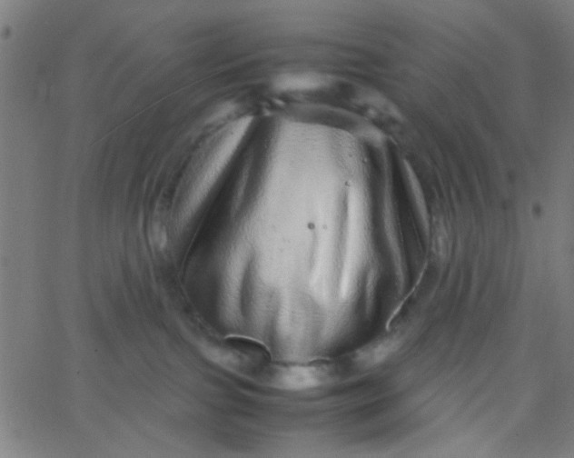 X0000067910091200604271929