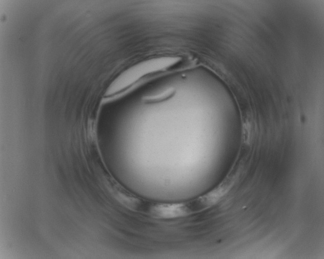 X0000067910093200604271929