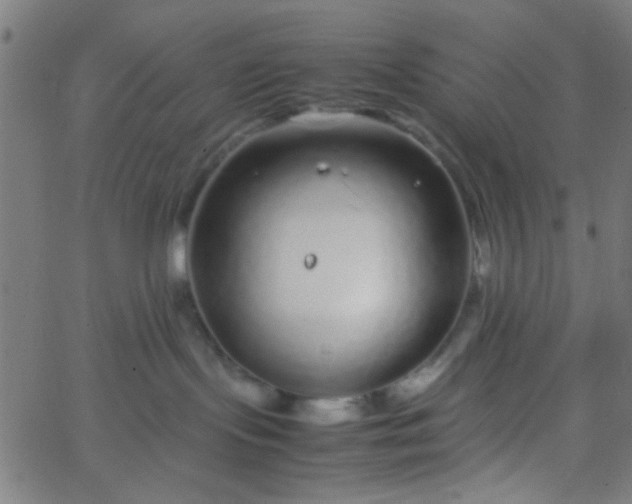 X0000067910095200604271929