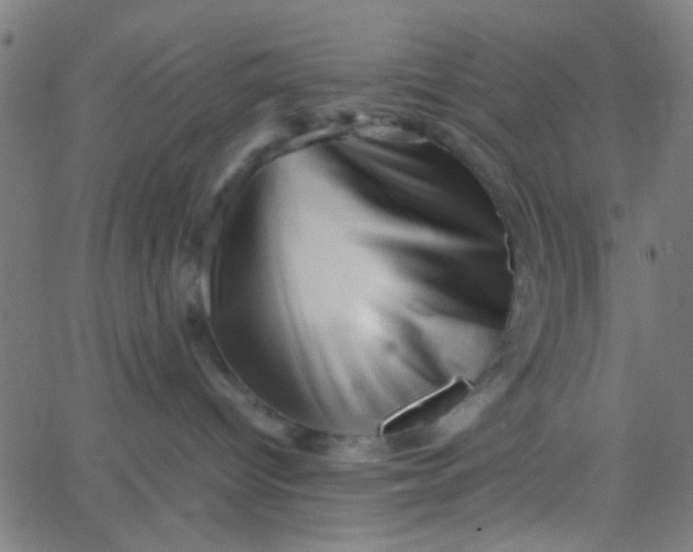 X0000067910096200604271929