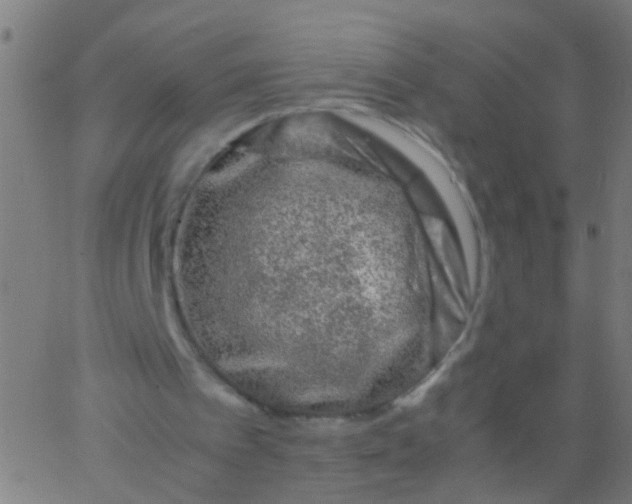 X0000067910097200604271928