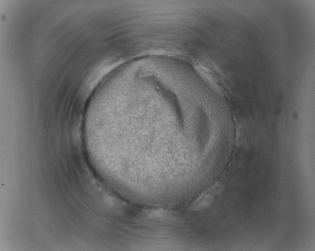 X0000067910098200604271928