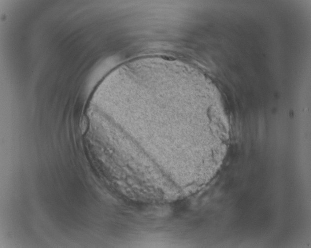 X0000067910099200604271928