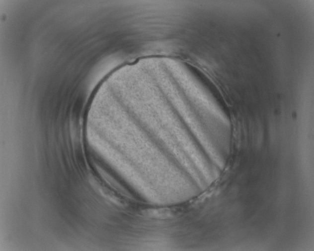 X0000067910100200604271928