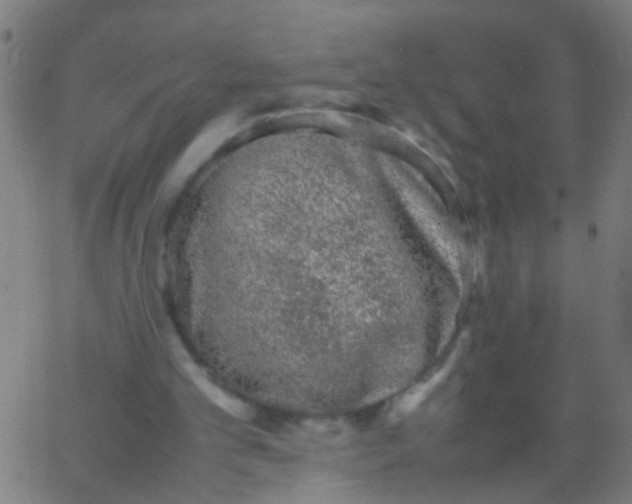 X0000067910101200604271928