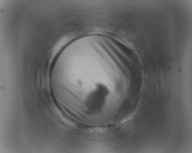 X0000067910102200604271928