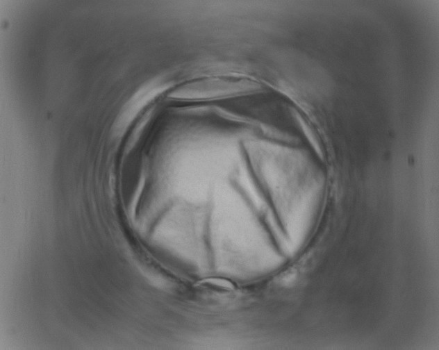 X0000067910103200604271928