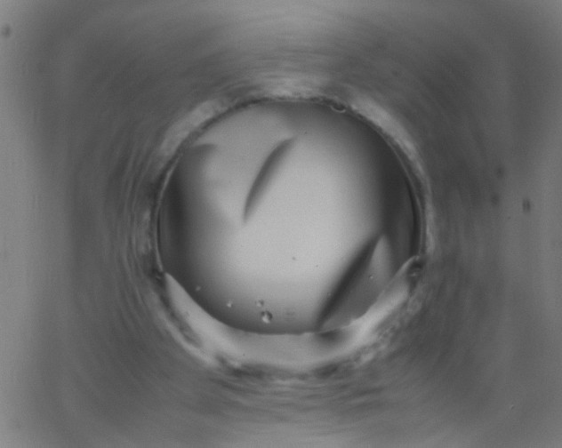 X0000067910105200604271928