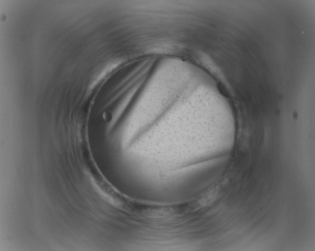 X0000067910106200604271928