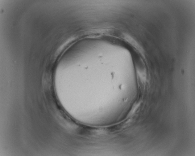 X0000067910107200604271928