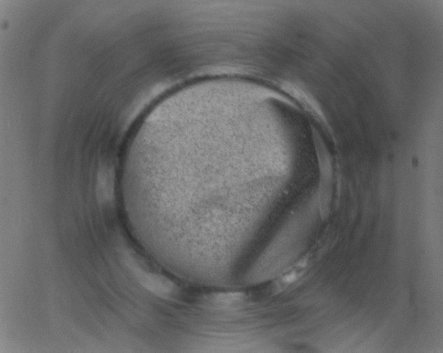 X0000067910108200604271928