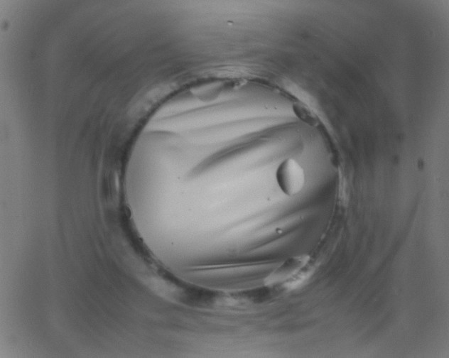 X0000067910109200604271928