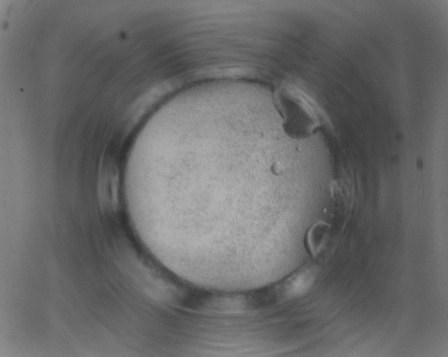 X0000067910110200604271928