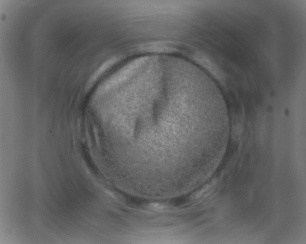 X0000067910111200604271928