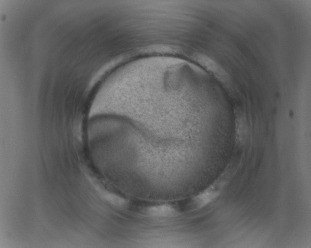 X0000067910112200604271928