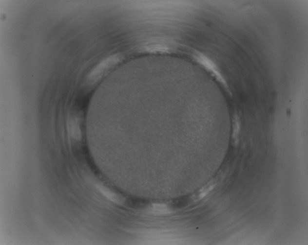 X0000067910114200604271928