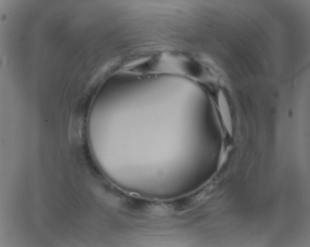 X0000067910115200604271928