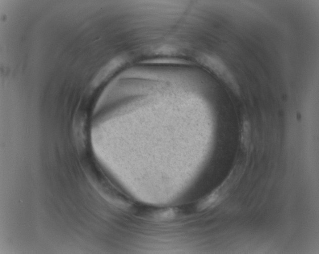 X0000067910116200604271927