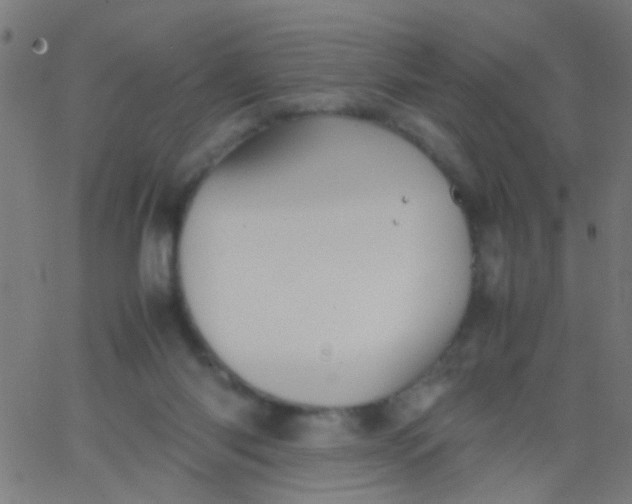 X0000067910118200604271927