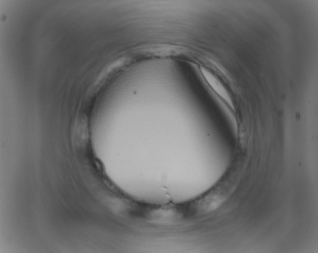 X0000067910119200604271927