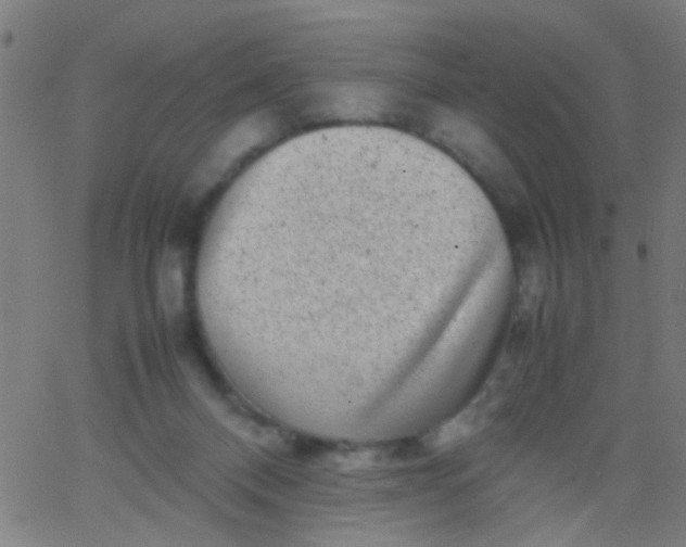 X0000067910120200604271927