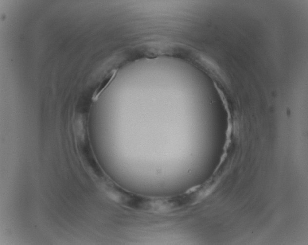 X0000067910121200604271927