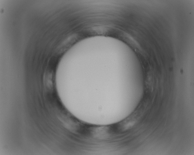 X0000067910122200604271927