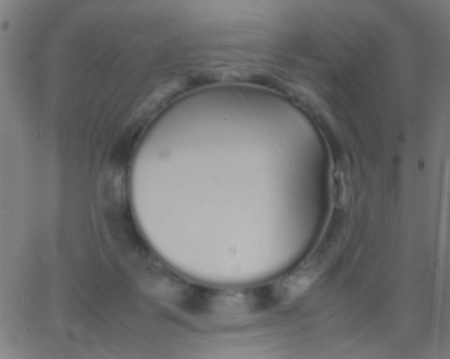 X0000067910123200604271927