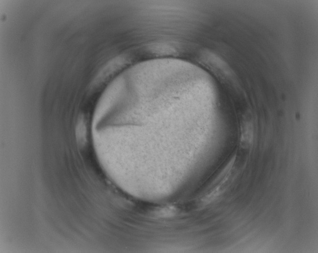 X0000067910124200604271927