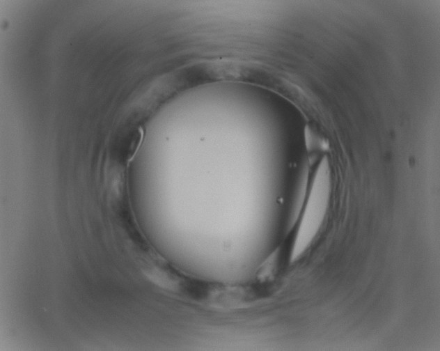 X0000067910125200604271927