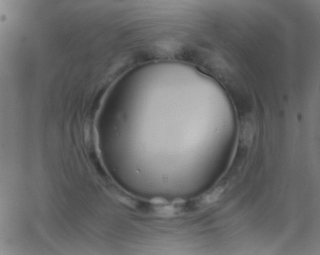 X0000067910131200604271927