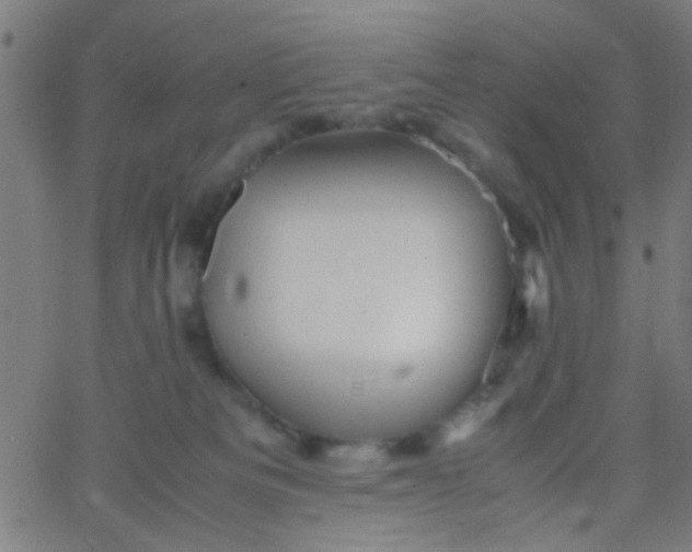 X0000067910133200604271927