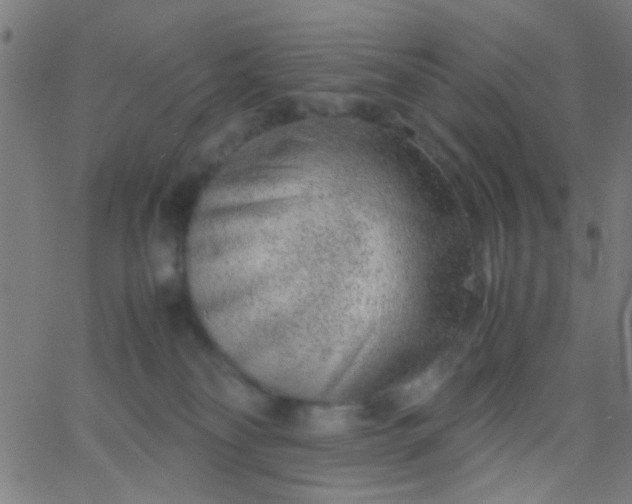 X0000067910134200604271927