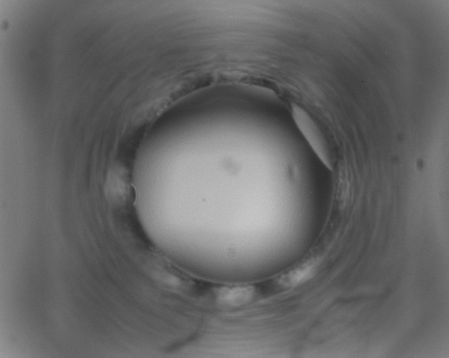 X0000067910135200604271927