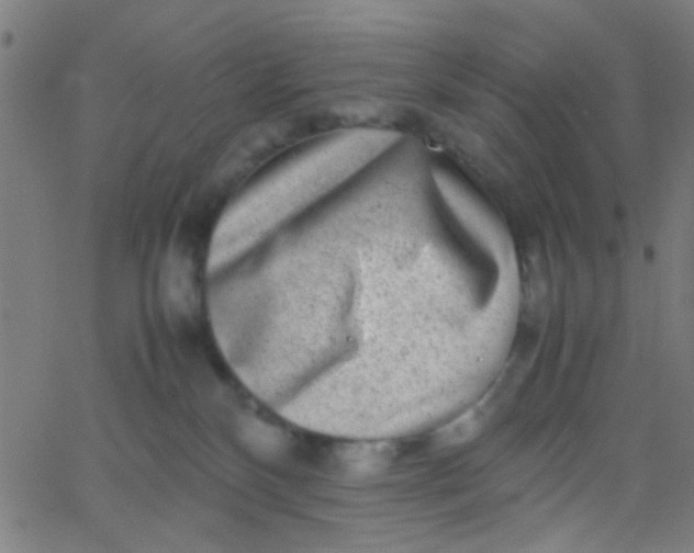 X0000067910136200604271927