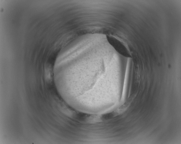 X0000067910138200604271927