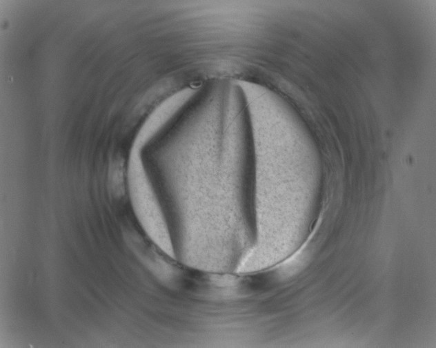 X0000067910144200604271927