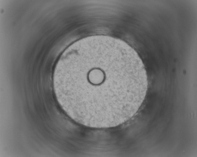 X0000067910146200604271926