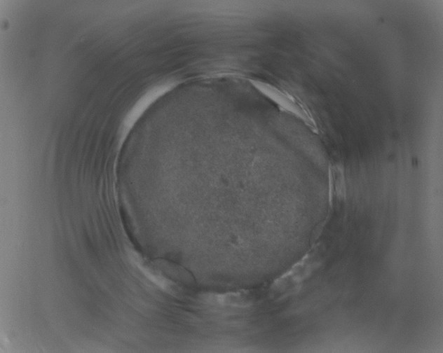 X0000067910147200604271926