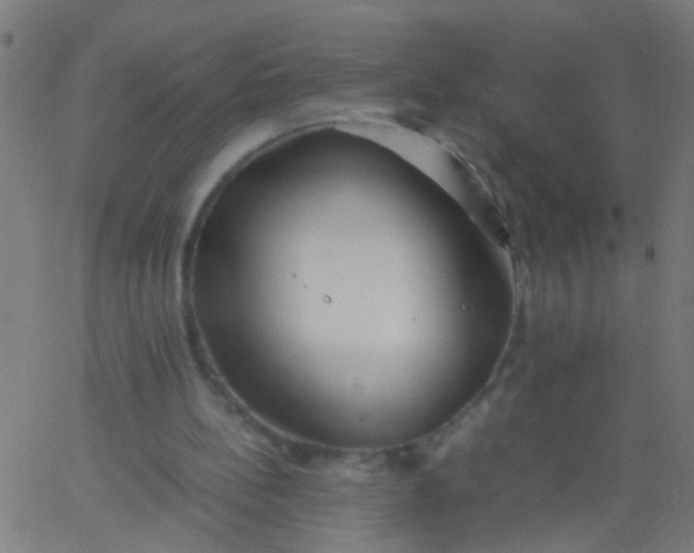 X0000067910148200604271926