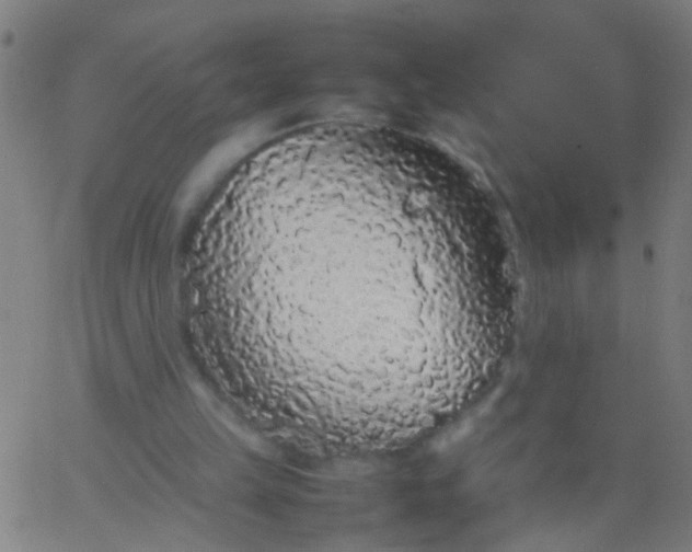 X0000067910149200604271926