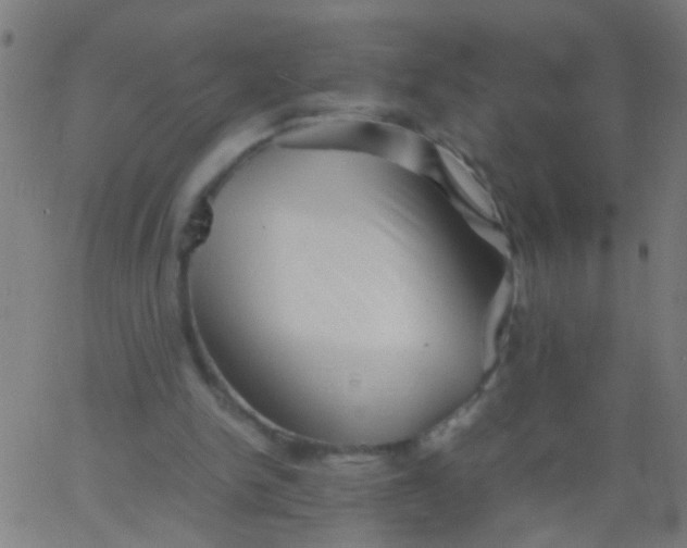 X0000067910150200604271926