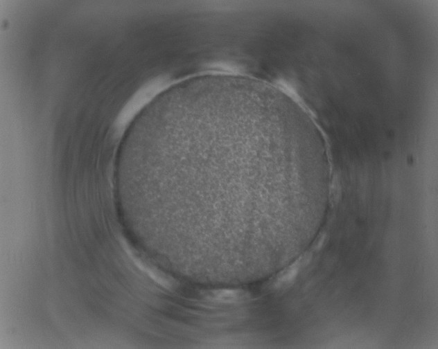 X0000067910151200604271926