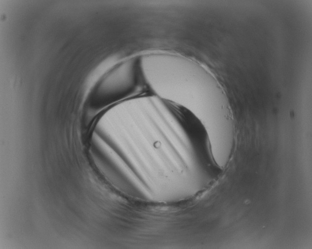 X0000067910152200604271926