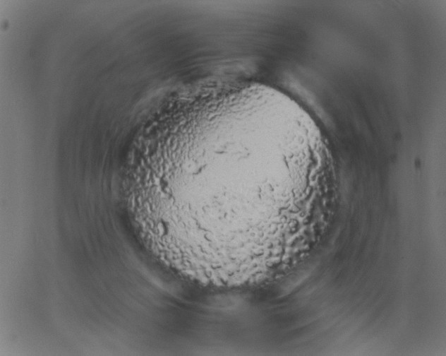 X0000067910161200604271927