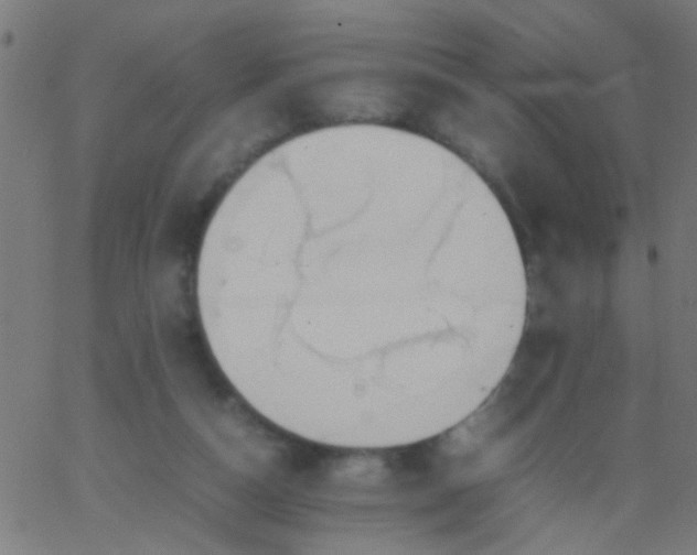 X0000067910162200604271927