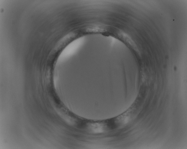 X0000067910163200604271927