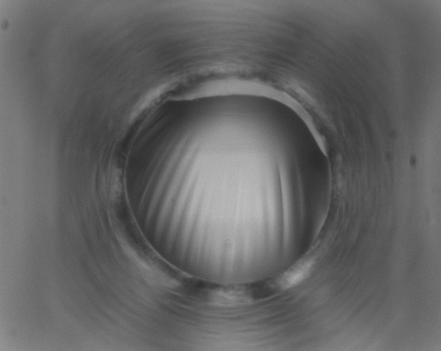 X0000067910164200604271927