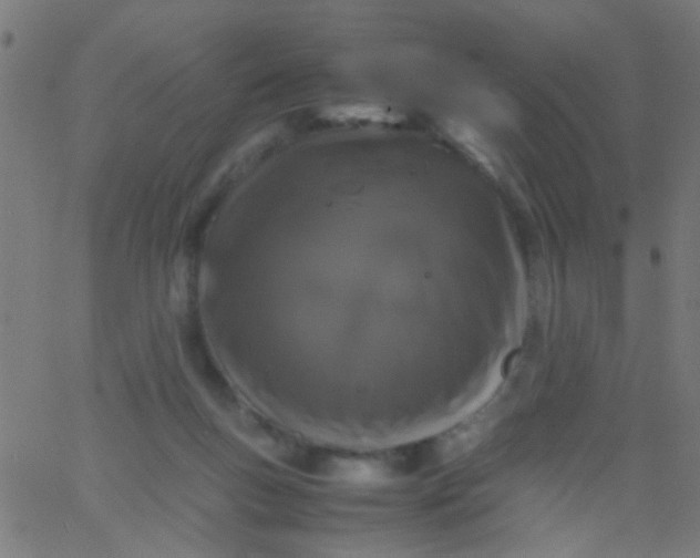 X0000067910167200604271927