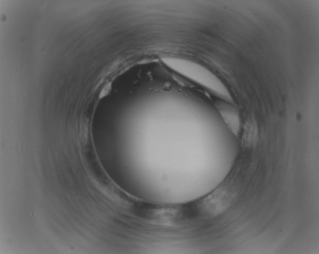 X0000067910168200604271927